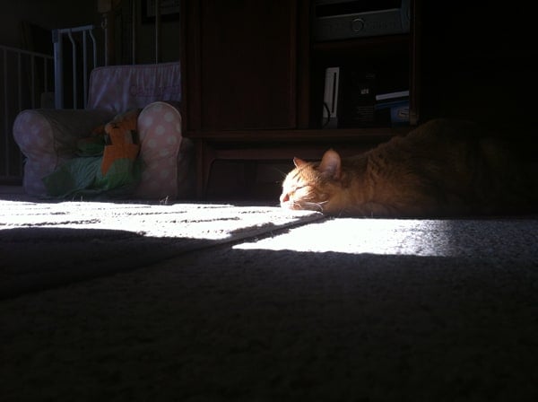 wordless wednesday – content