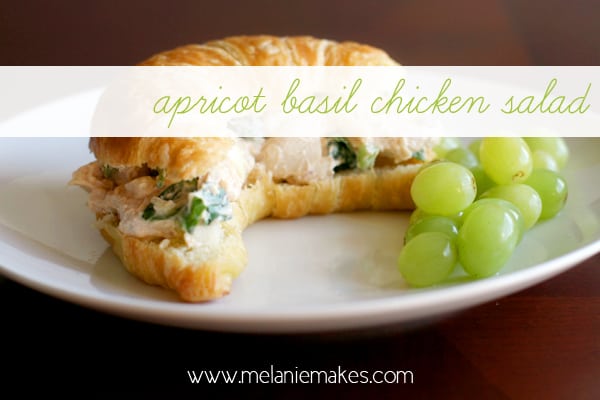 Apricot Basil Chicken Salad | Melanie Makes