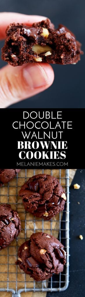 These delicious Double Chocolate Walnut Brownie Cookies use both baking cocoa and chocolate chunks for their super chocolatey taste. #chocolate #walnut #brownie #cookies #nut #easydessert #cookiejar