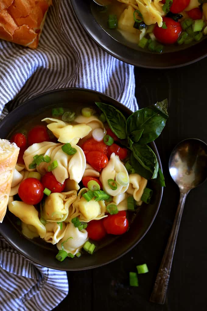 A bowl of Cherry Tomato and Tortellini Soup garnished with a sprig of basil.