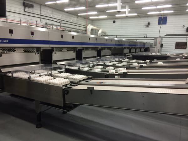 An Ohio Egg Adventure | Melanie Makes melaniemakes.com