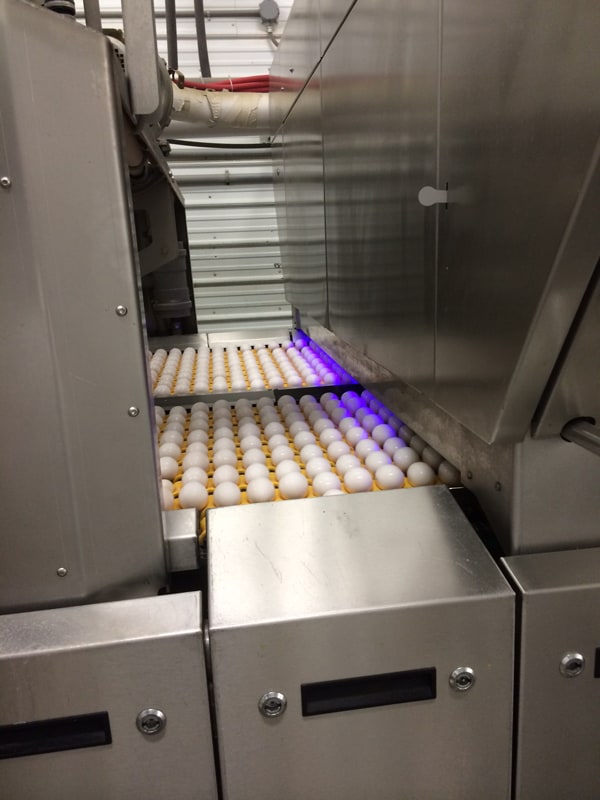 An Ohio Egg Adventure | Melanie Makes melaniemakes.com