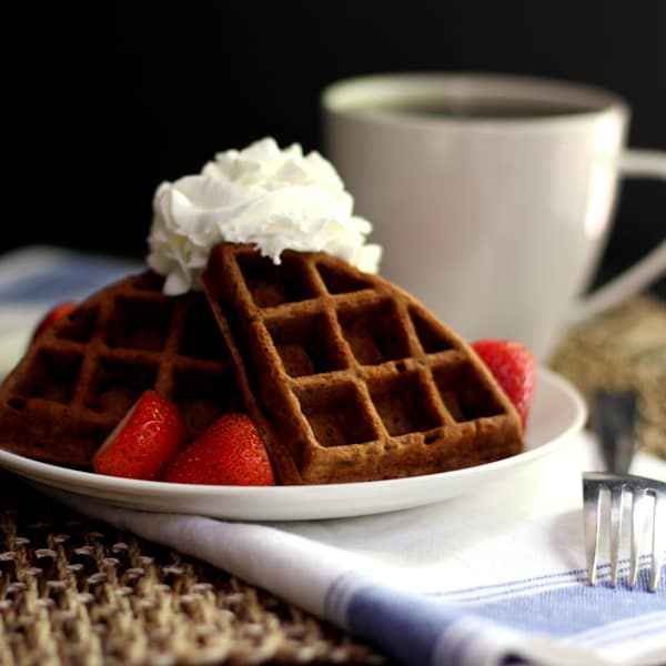 Chocolate Yogurt Waffles