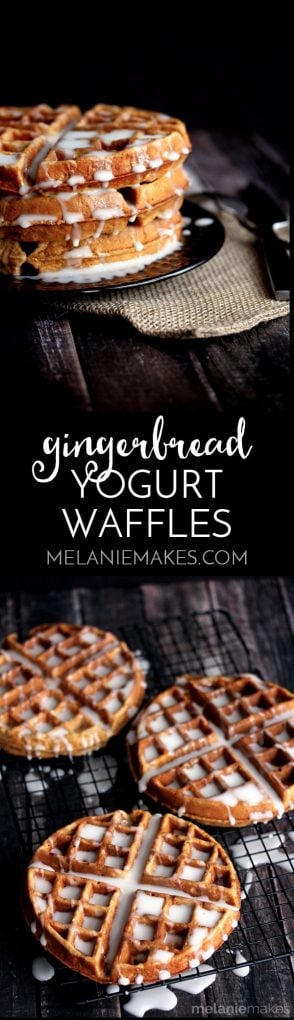 Whether you're serving them as a special holiday breakfast or giving them as a one of a kind homemade gift, these Gingerbread Yogurt Waffles with Powdered Sugar Glaze are a memorable treat. Waffles spiked with the warming holiday flavors of cinnamon and ginger emerge from a waffle iron and then are doused in a stream of white powdered sugar glaze.