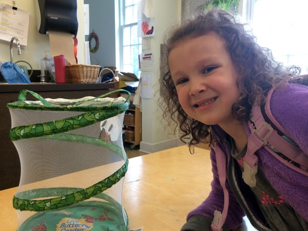 Melanie Makes at Home 2015 - Week 22 | Melanie Makes