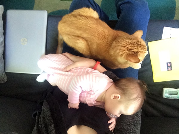 Melanie Makes at Home 2015 - Week 22 | Melanie Makes