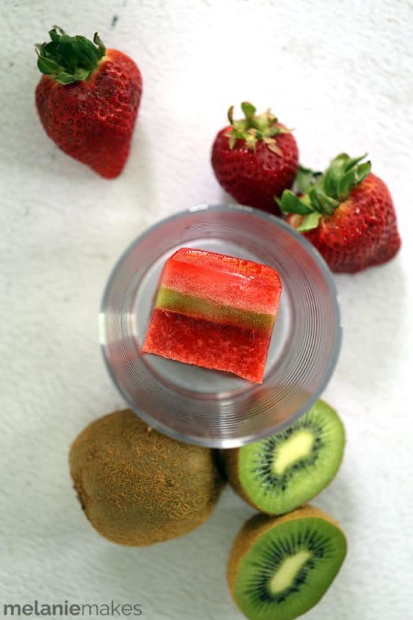 Fruit and Herb Infused Ice Cubes - Alice and Lois