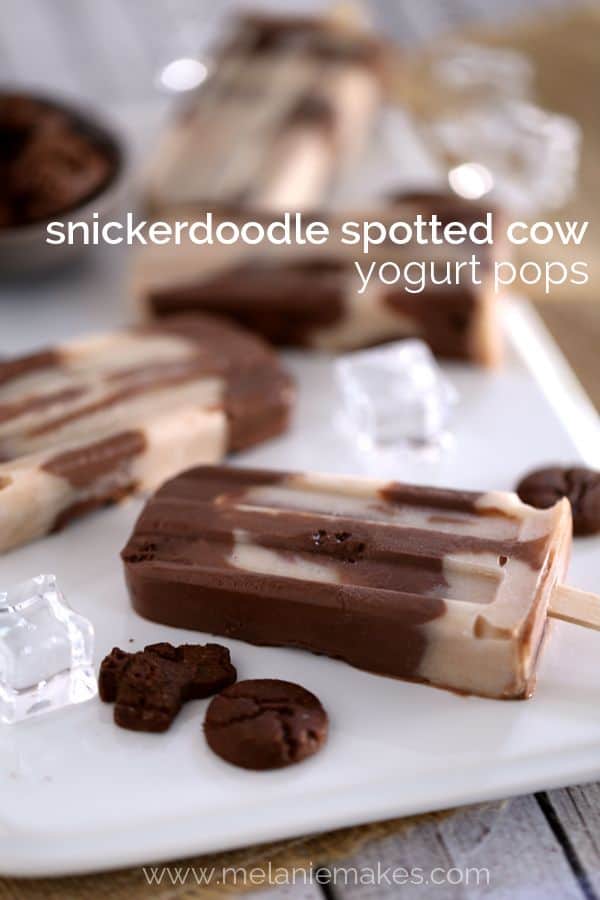 Snickerdoodle Spotted Cow Yogurt Popsicles | Melanie Makes