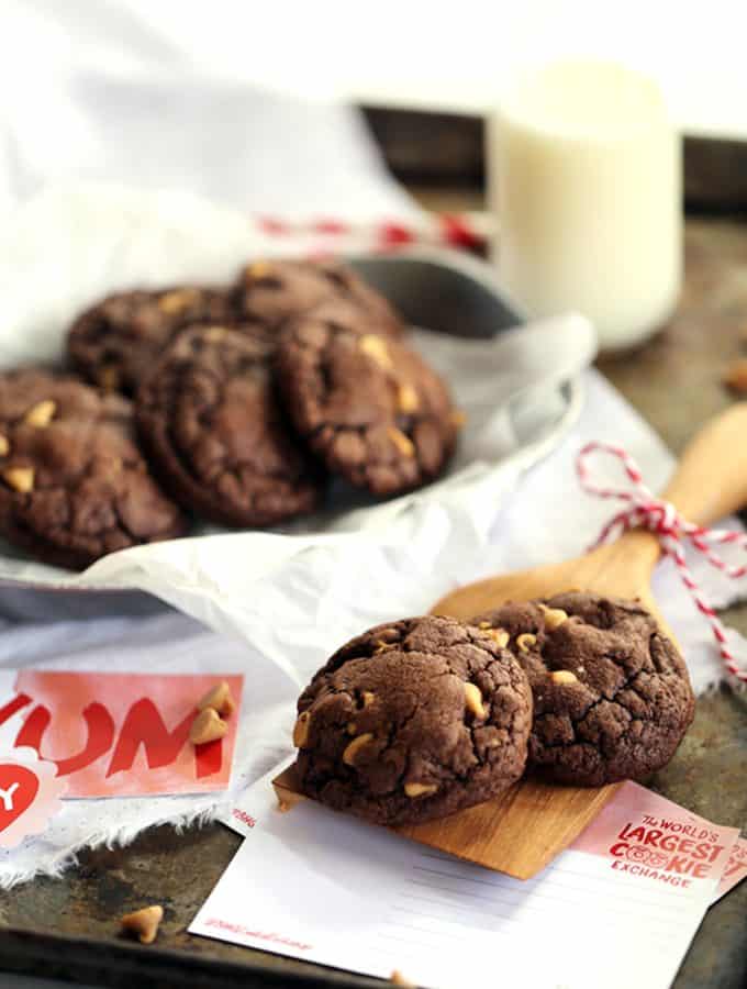 Cheesecake Stuffed Chocolate Peanut Butter Cookies