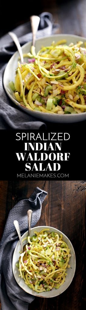 Look no further than this Spiralized Indian Waldorf Salad for a healthy, easy and flavorful side dish. Spiralized apples, celery, raisins and red onion are tossed in a dressing of Greek yogurt spiked with lime juice, curry powder and ginger in this 15 minute recipe.
