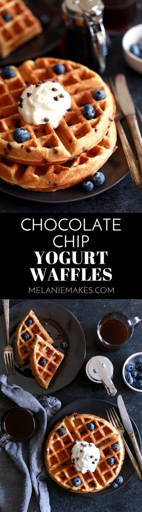 These Chocolate Chip Yogurt Waffles take just 10 minutes to prepare which means breakfast is on the table in no time! Studded with mini chocolate chips, these waffles get their signature flavor from plain whole milk yogurt and butter which helps to achieve their crisp exterior and light and fluffy interior. #chocolatechip #yogurt #waffles #breakfast #brunch