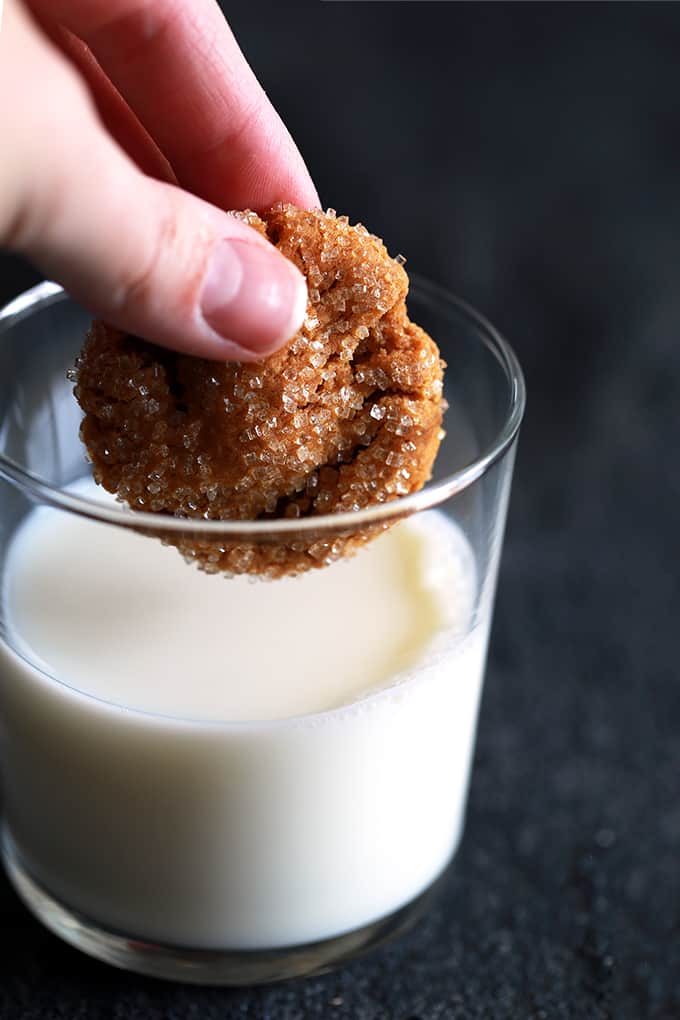 These eight ingredient Soft and Chewy Pumpkin Ginger Cookies are perfect any time of year but are destined to be an autumn cookie all-star. Pumpkin, molasses, cinnamon and ginger bring the warmth and expected fall flavors to these pillowy cookies. #pumpkin #ginger #cookies #autumn #fallrecipes #easydesserts A hand dips a Soft and Chewy Pumpkin Ginger Cookie into a glass of milk on a black background.