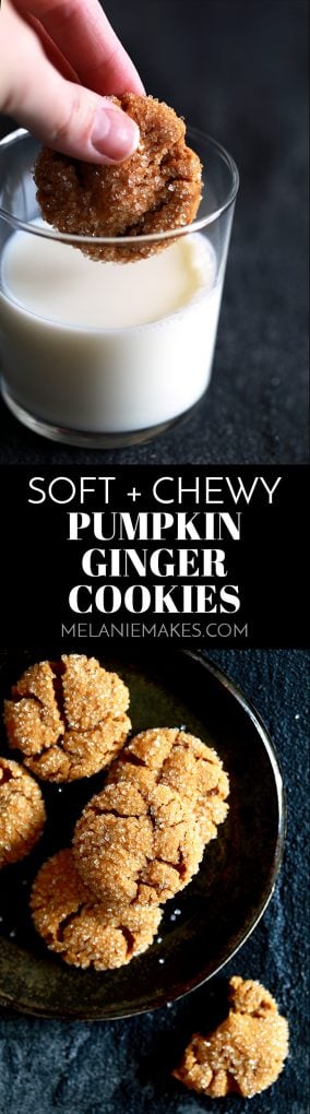 These eight ingredient Soft and Chewy Pumpkin Ginger Cookies are perfect any time of year but are destined to be an autumn cookie all-star. #pumpkin #ginger #cookies #autumn #fallrecipes #easydesserts