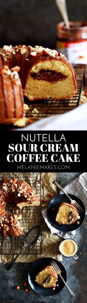 An entire cup of sour cream in this Nutella Sour Cream Coffee Cake insures a tender end result.  Not only does this cake feature a tunnel of Nutella and chopped hazelnuts throughout the inside of the cake, but the finished cake is also garnished with drizzled Nutella and more chopped hazelnuts.  In other words, it's heaven in coffee cake form.