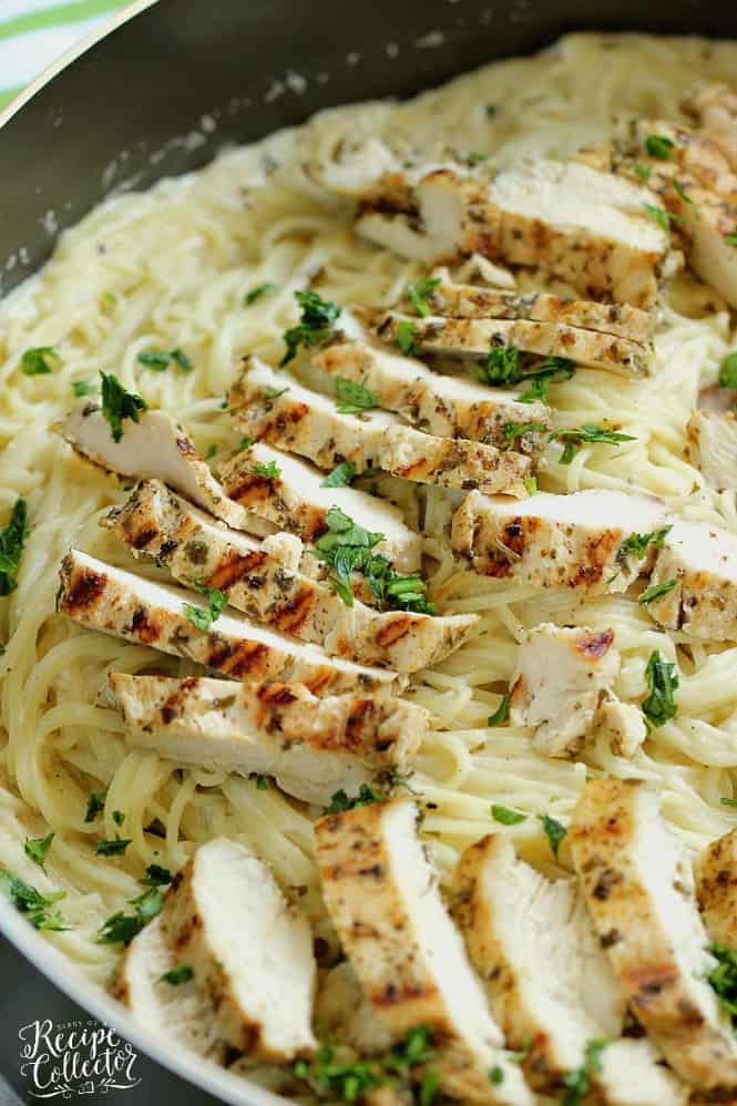 Basil Pesto Chicken Alfredo